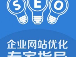 合肥网络seo推广服务(合肥专业seo服务公司)