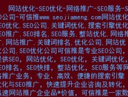 seo网络推广到底是做什么的(山西seo和网络推广)