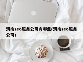 渭南seo服务公司有哪些(渭南seo服务公司)