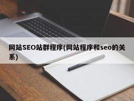 网站SEO站群程序(网站程序和seo的关系)