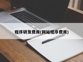 程序研发费用(网站程序费用)