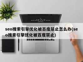 seo搜索引擎优化被百度禁止怎么办(seo搜索引擎优化被百度禁止)