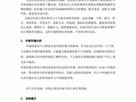 网站维护的职业生涯规划是什么(网站维护的职业生涯规划)