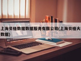 上海贝格数据数据服务有限公司(上海贝格大数据)