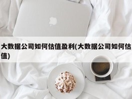 大数据公司如何估值盈利(大数据公司如何估值)