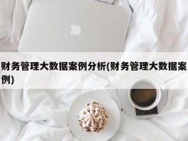 财务管理大数据案例分析(财务管理大数据案例)