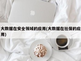 大数据在安全领域的应用(大数据在社保的应用)