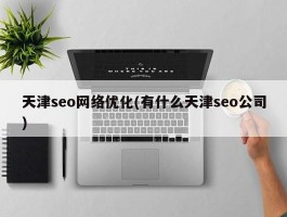 天津seo网络优化(有什么天津seo公司)