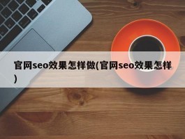 官网seo效果怎样做(官网seo效果怎样)