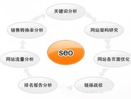 如何分析一个网站seo(seo一个网站分析)