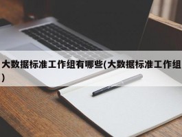 大数据标准工作组有哪些(大数据标准工作组)