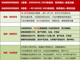 网络运营抖音流量分析报告，网络运营抖音流量分析报告怎么写