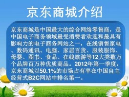 北京京东网站推广方案设计,京东网络营销平台推广方案