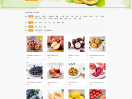 特产网站设计,特产销售网站的设计与实现