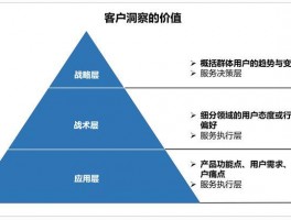 大数据客户洞察(大数据用户洞察)