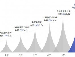 大数据架构工程师薪资(大数据架构师年薪)