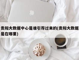 贵阳大数据中心是谁引荐过来的(贵阳大数据是在哪里)