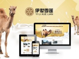 伊犁网站设计公司,伊犁网站设计公司有哪些