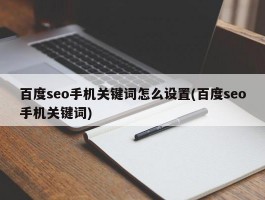 百度seo手机关键词怎么设置(百度seo手机关键词)