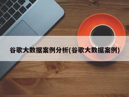 谷歌大数据案例分析(谷歌大数据案例)