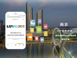 南京上网app(在南京网站)