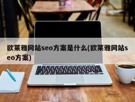 欧莱雅网站seo方案是什么(欧莱雅网站seo方案)