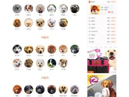 犬舍网站设计,犬舍设计图图片欣赏