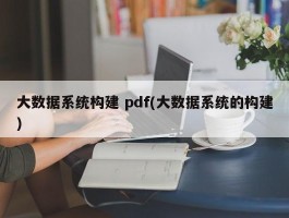 大数据系统构建 pdf(大数据系统的构建)