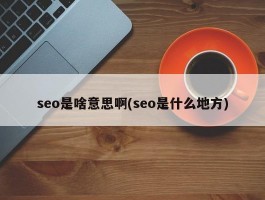 seo是啥意思啊(seo是什么地方)