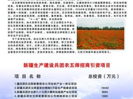 设计兵团网站会员费用,新疆兵团设计院地址