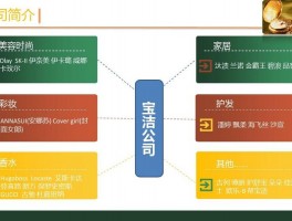 宝洁网站设计特点,宝洁网络营销案例分析