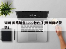 湖州 网络销售3000包吃住(湖州网站营销)