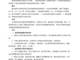 青岛网站建设计划书,网站建设计划书范文