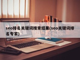 seo排名关键词搜索结果(seo关键词排名专家)