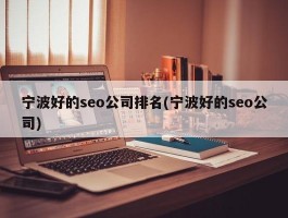 宁波好的seo公司排名(宁波好的seo公司)