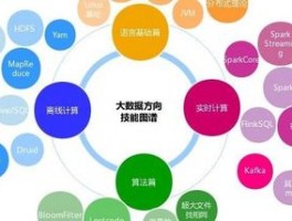 大数据技术是什么意思适合女孩学吗(大数据技术是什么意思)