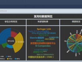 数据可视化的应用实例(企业大数据应用实例)