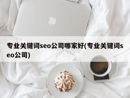 专业关键词seo公司哪家好(专业关键词seo公司)