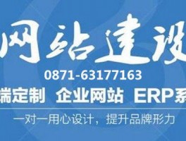 云南楚雄低价网站设计,楚雄seo公司