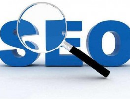 网站怎么做seo(北京市网站seo怎么选)