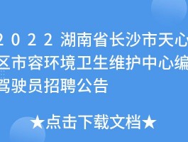 天心区网站维护公司有哪些公司(天心区网站维护公司有哪些)